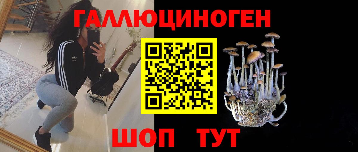 сколько стоит  Псилоцибиновые грибы мицелий  Вход с VPN  Галлюциногенные грибы Psilocybe  Михайловск 